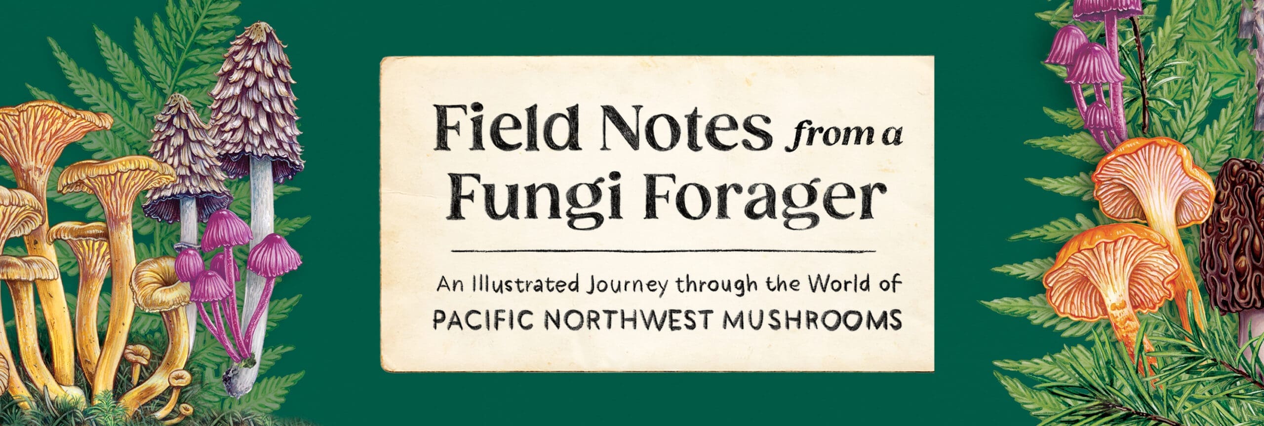 Field Notes from a Fungi Forager